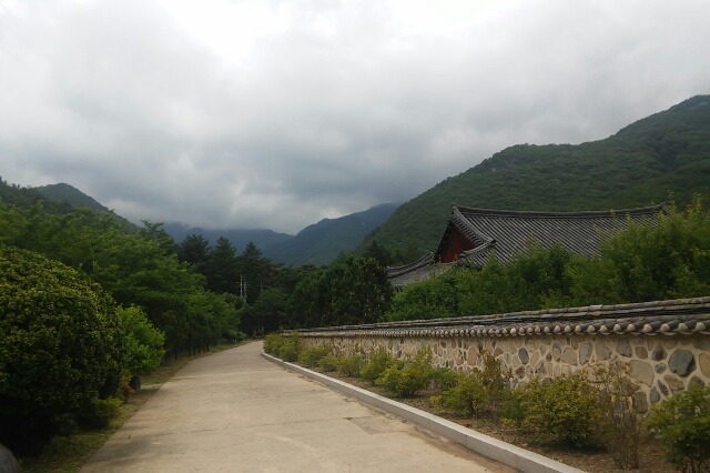    청도 가는길  
