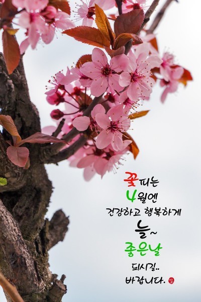 4월