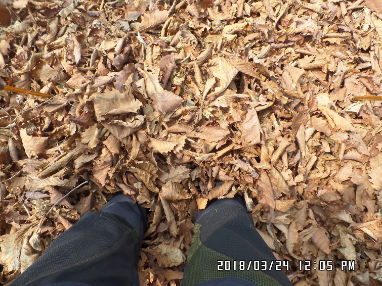 철마산 조망 이미지