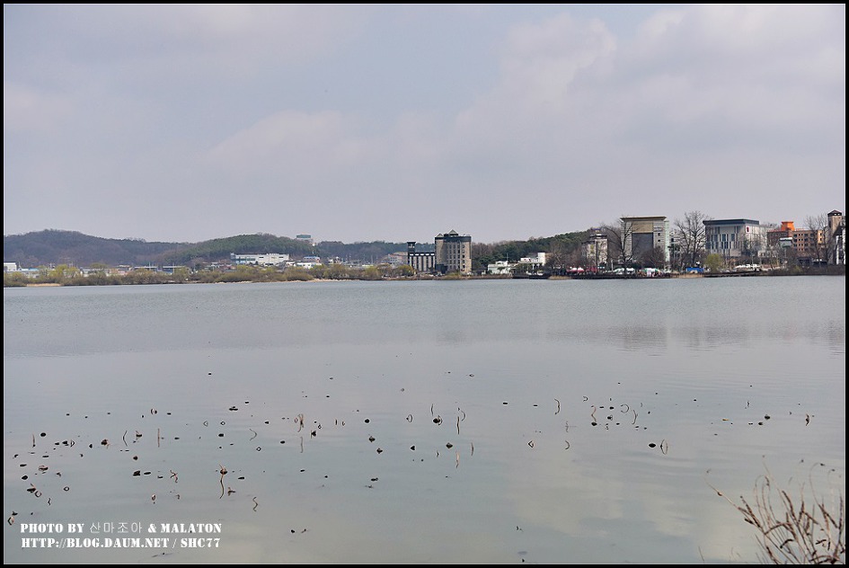[경기화성] 보통리 저수지 산책로 풍경!