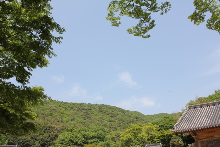 원본이미지(클릭)
