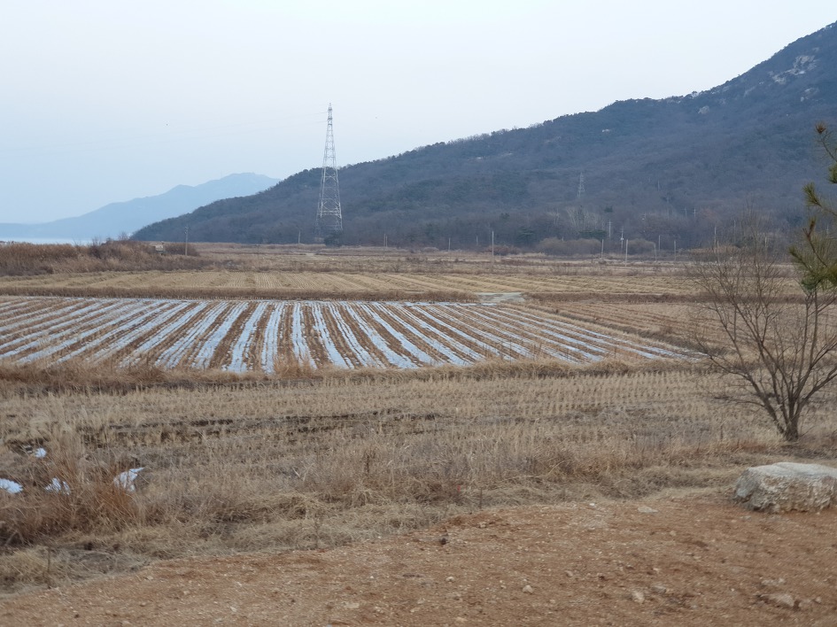 사진보기
