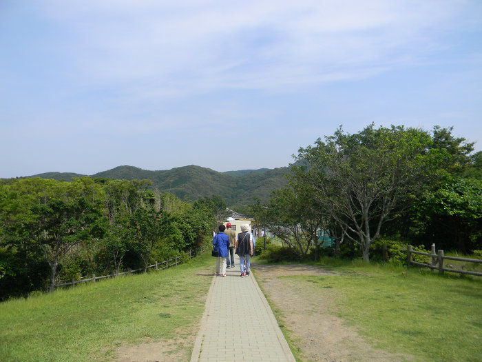 대마도 북쪽 끝에 자리한 본토바라기, 한국전망대 (대한해협, 해율도)