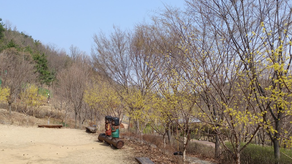 구미에코랜드_산동 참 생태숲 봄꽃