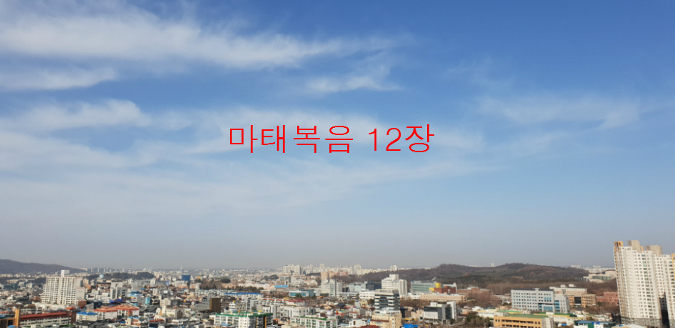 마태복음12장
