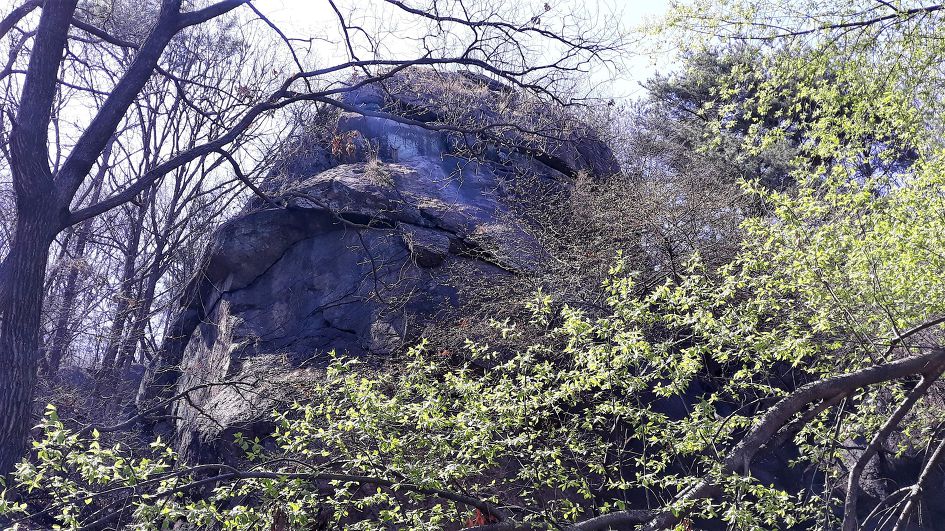 심학산, 파주