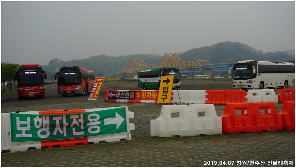 창원/천주산 진달래축제 - 남지 유채단지