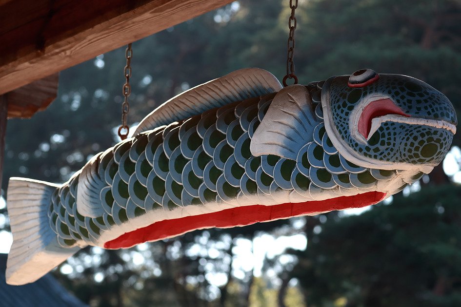 [목어(木魚)·어고(魚鼓)·어판(魚板)] 나무를 잉어 모양으로 다듬어 뱃속을 파낸 목어를 담아오다 / 토함