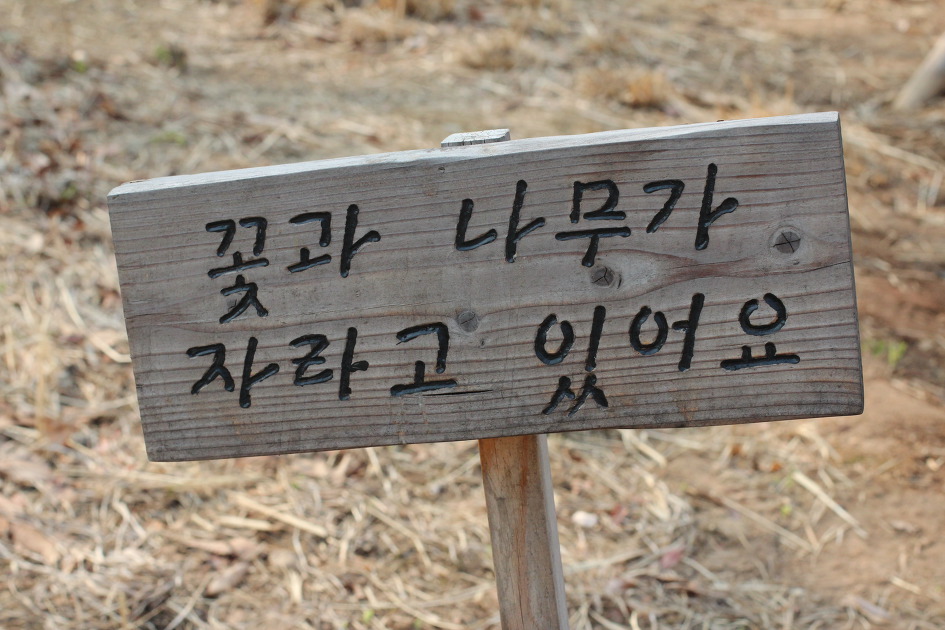 -발길이멈추는곳에서-
