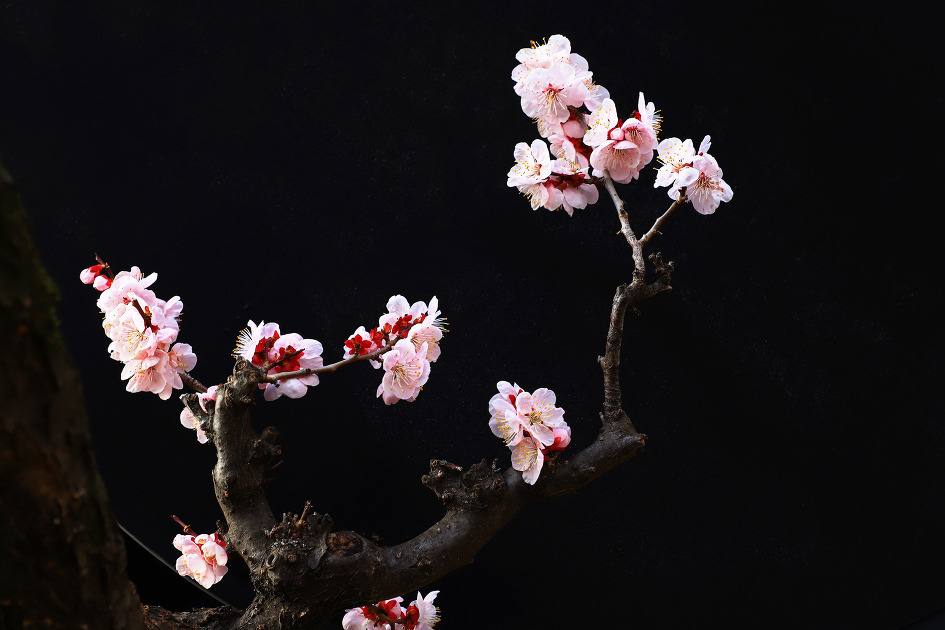 암중화 (김해건설공고. 2019.03.06.수)
