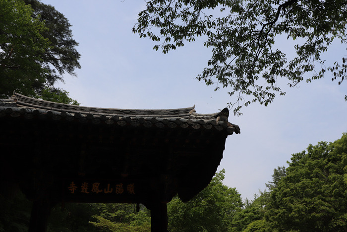 원본이미지(클릭)