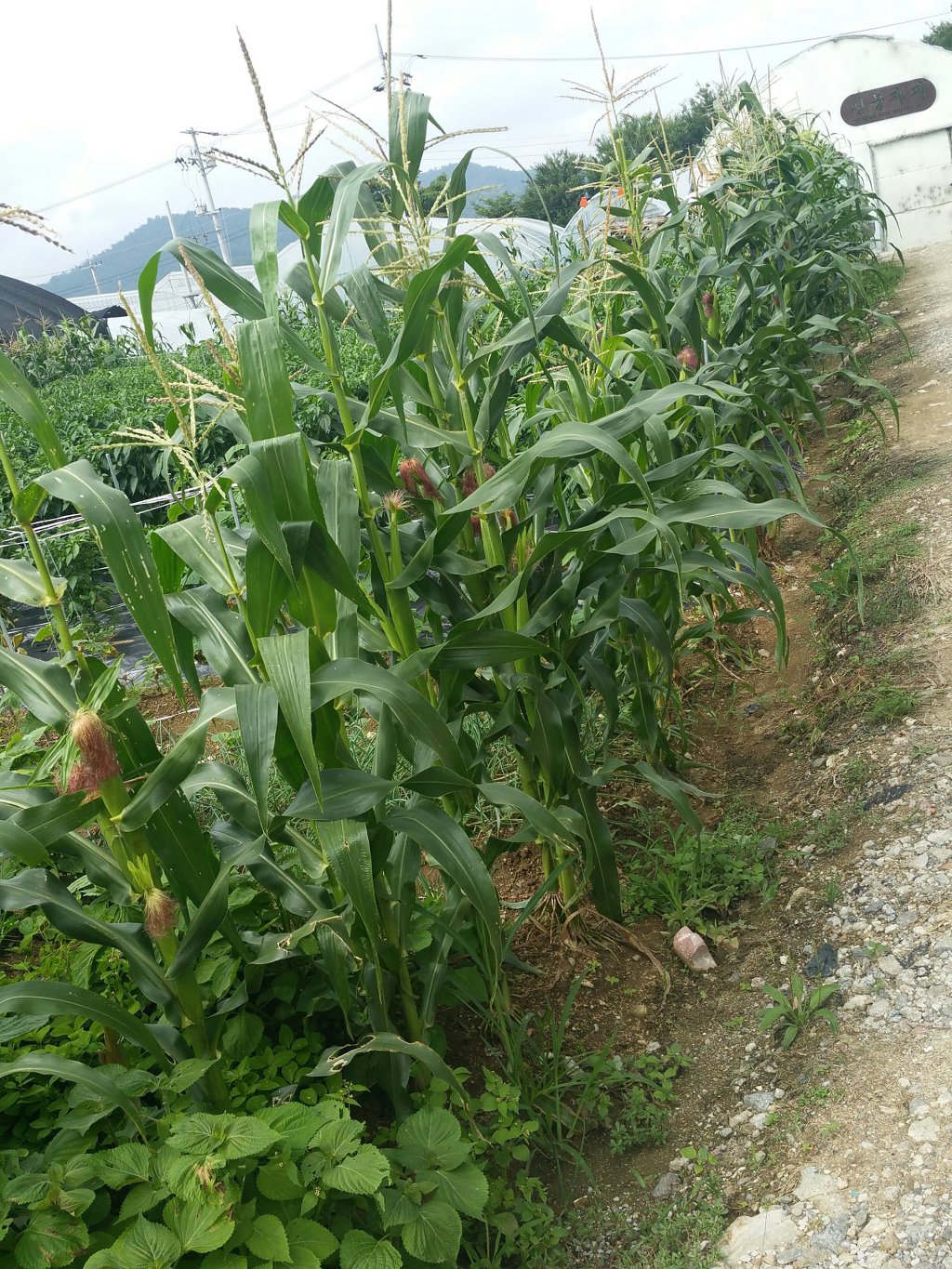 빛과 사랑 선교회2