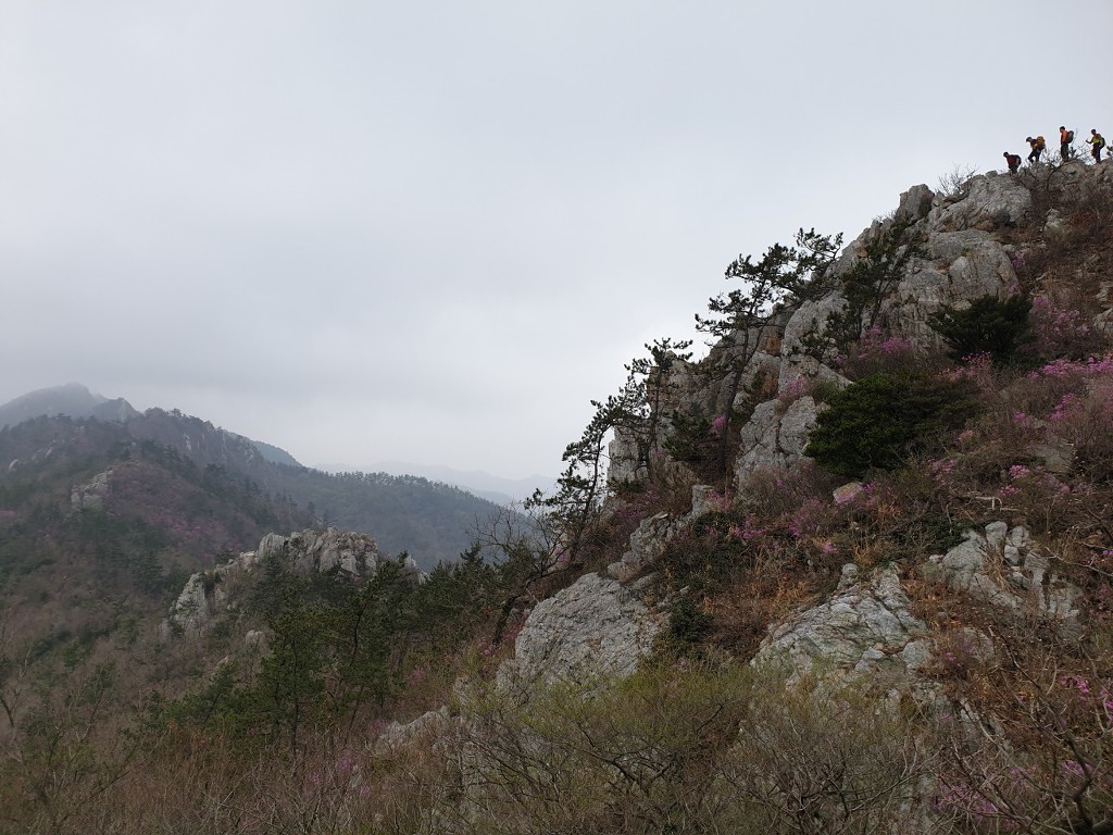덕룡산2019,4,7)