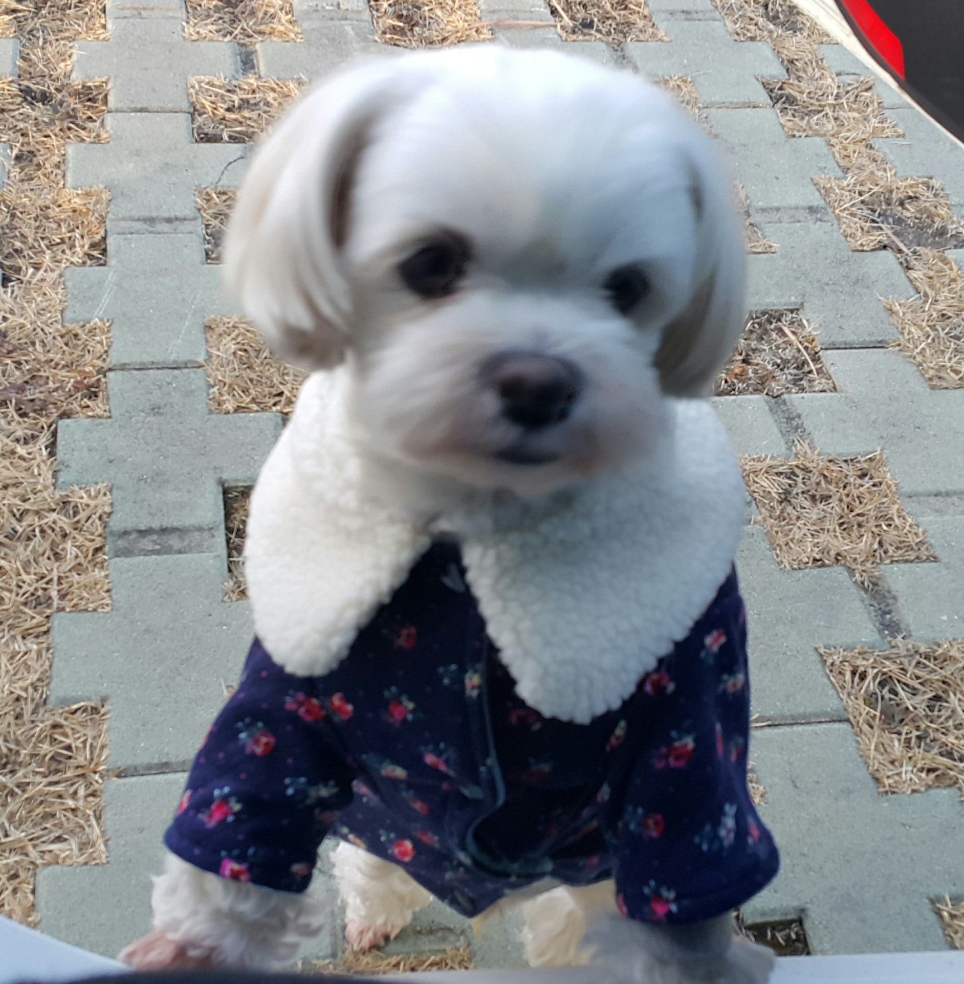 블로그 이미지