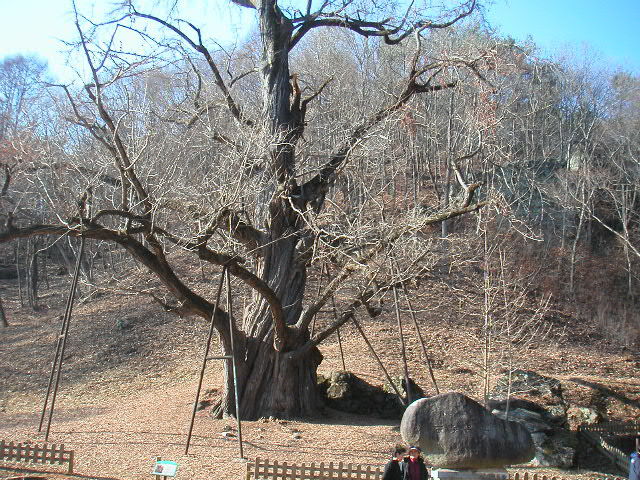 [명성산악회산행]금산 진악산(2007년1월5일)