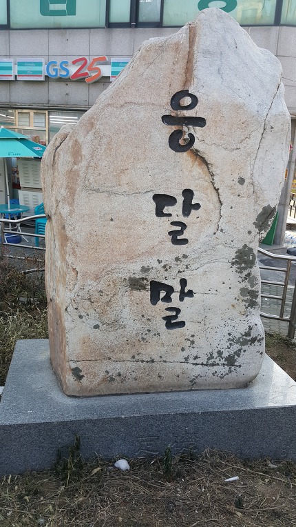 응달말 / 장광규