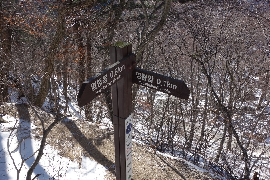 팔공산 겨울조망 산행