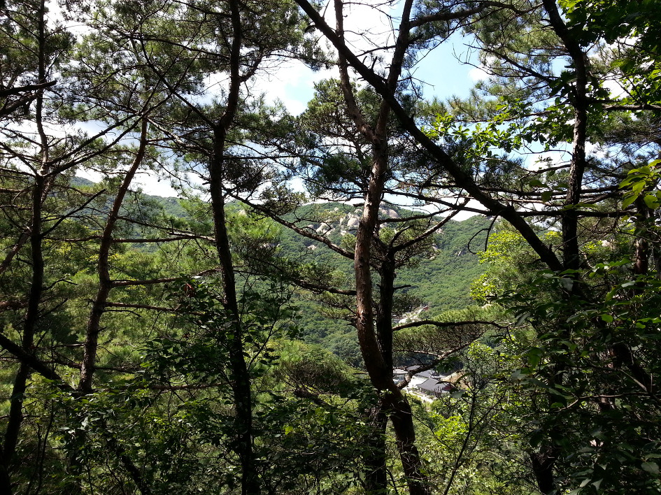 폭염속에 건강 지키기는 계속돼야 한다