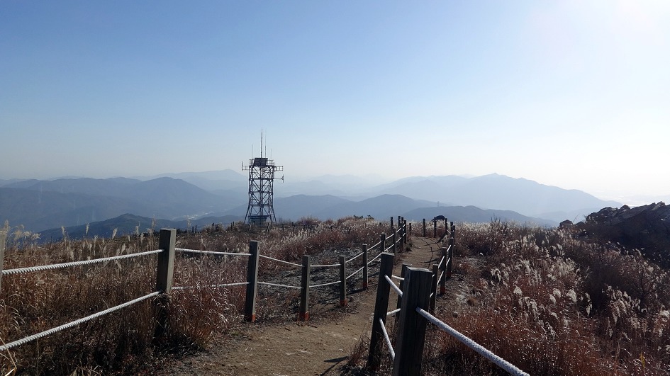 천성산 원효봉 억새가 반짝반짝