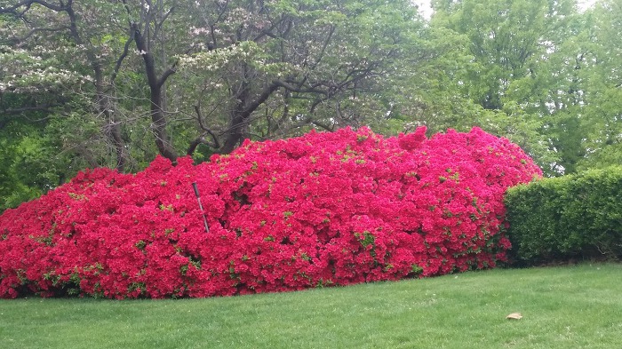 TULSA - GILCREASE MUSEUM 1