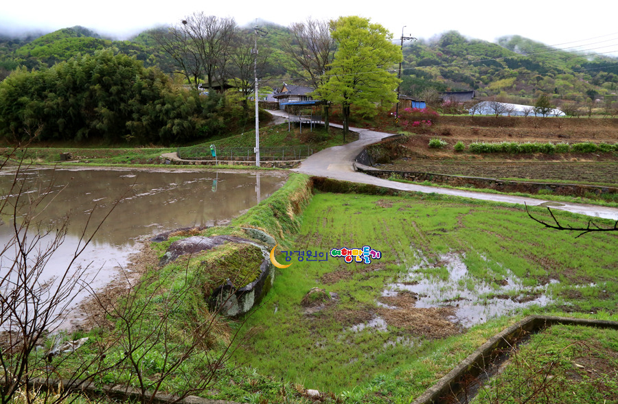 순천꽃마차마을 이미지