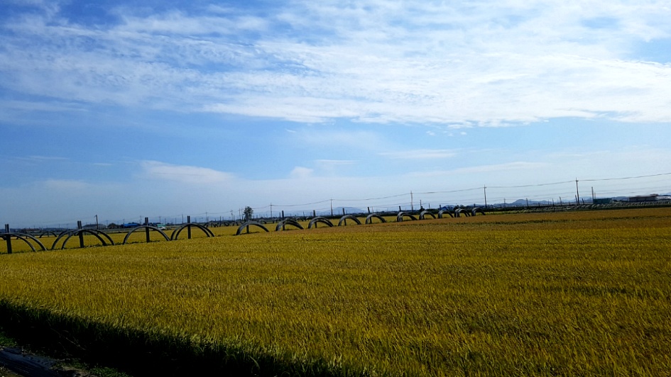 제일은 사랑, 믿음, 소망, 사랑.