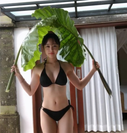 최설화