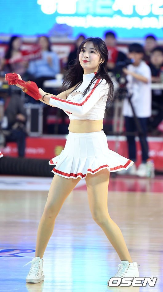 서울 SK 치어리더 안지현