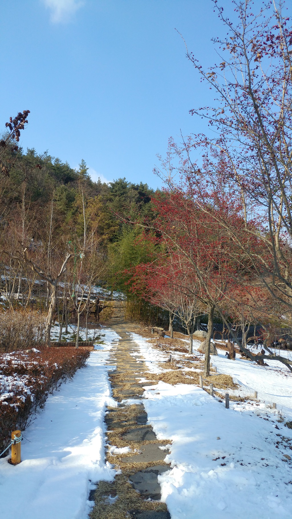 눈온후에 에코랜드